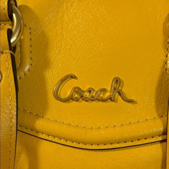 Coach Sunflower Yellow Ashley Leather Bag - Picture 4 of 14